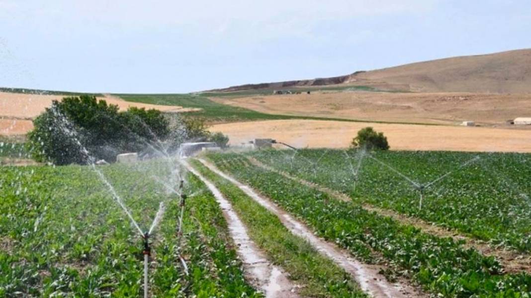 Bu kentlerde oturanların başlarına talih kuşu kondu. Milli Emlak müjdeli haberi verdi 1